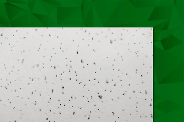 FINE FISSURED™ - Textura média