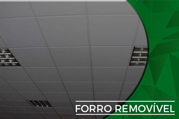 Forro Removivel